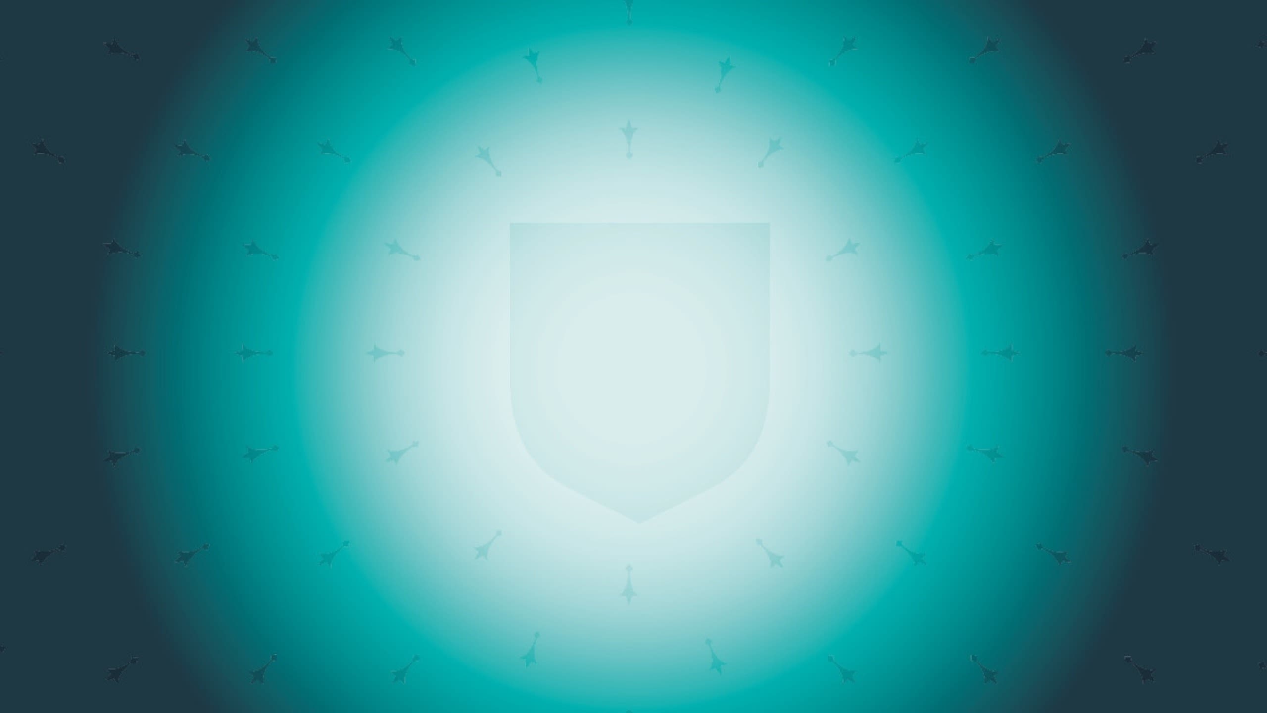  shield design