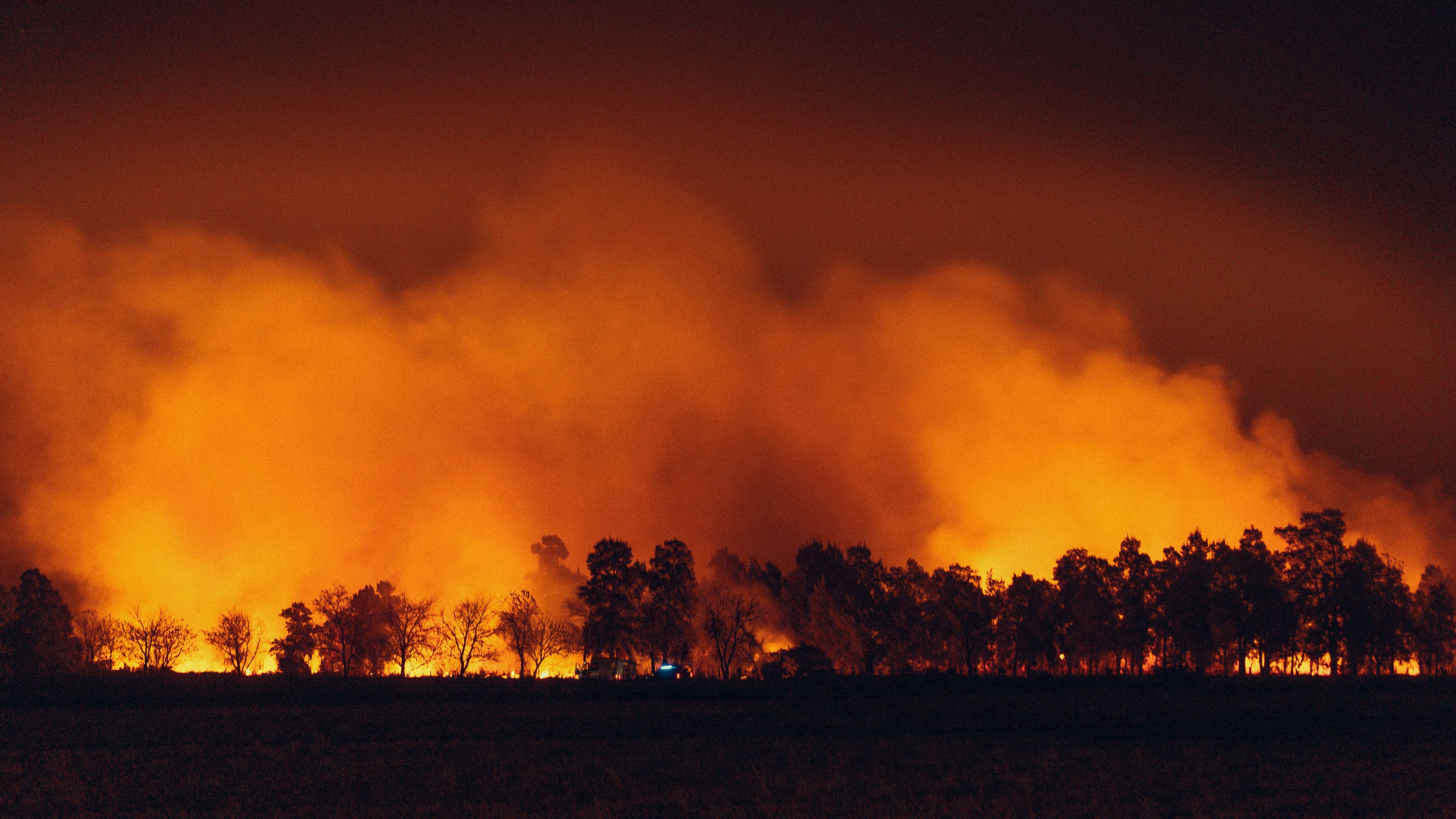 un gran incendio arde en un campo junto a un bosque