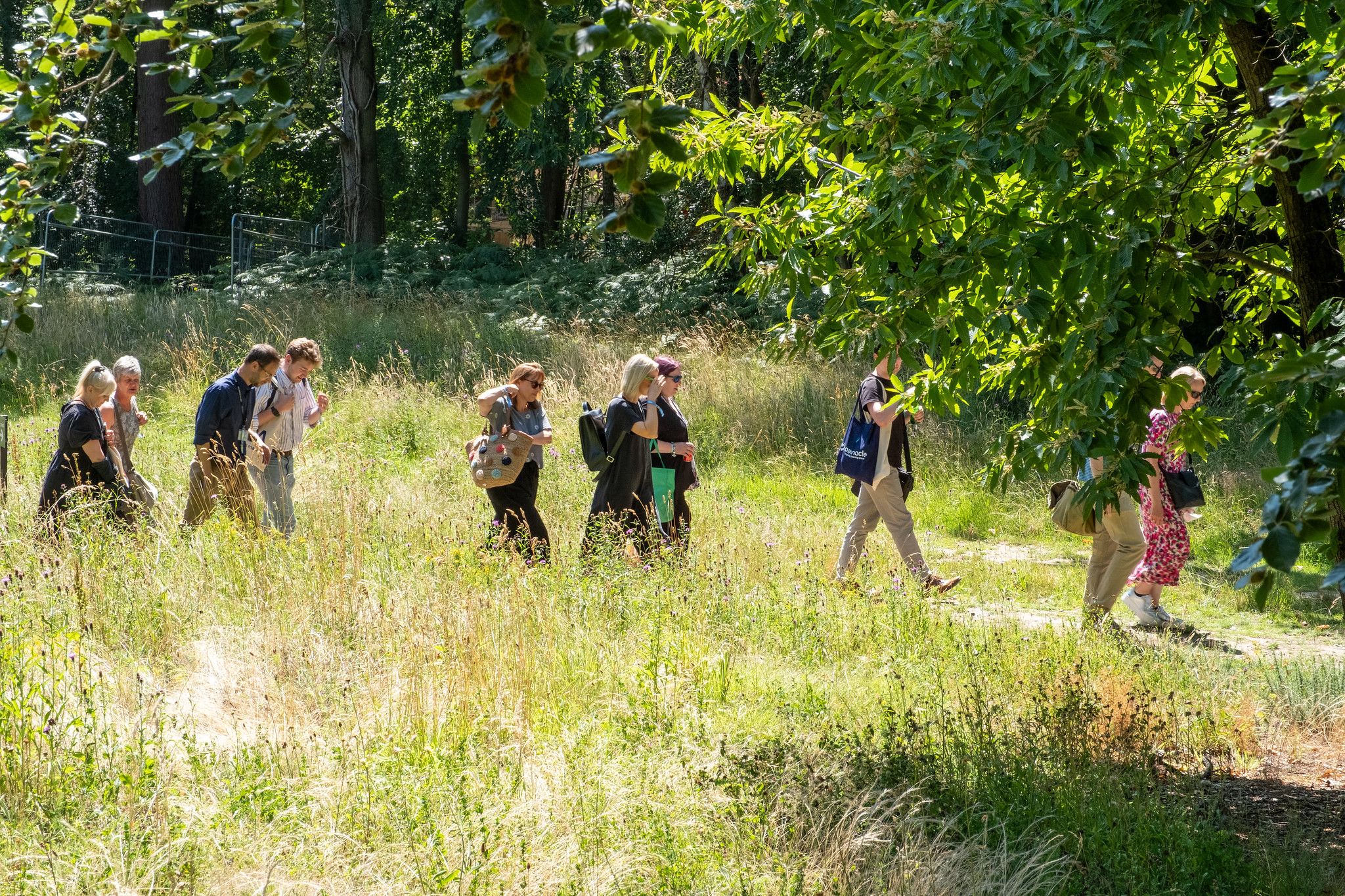 people walking through grass