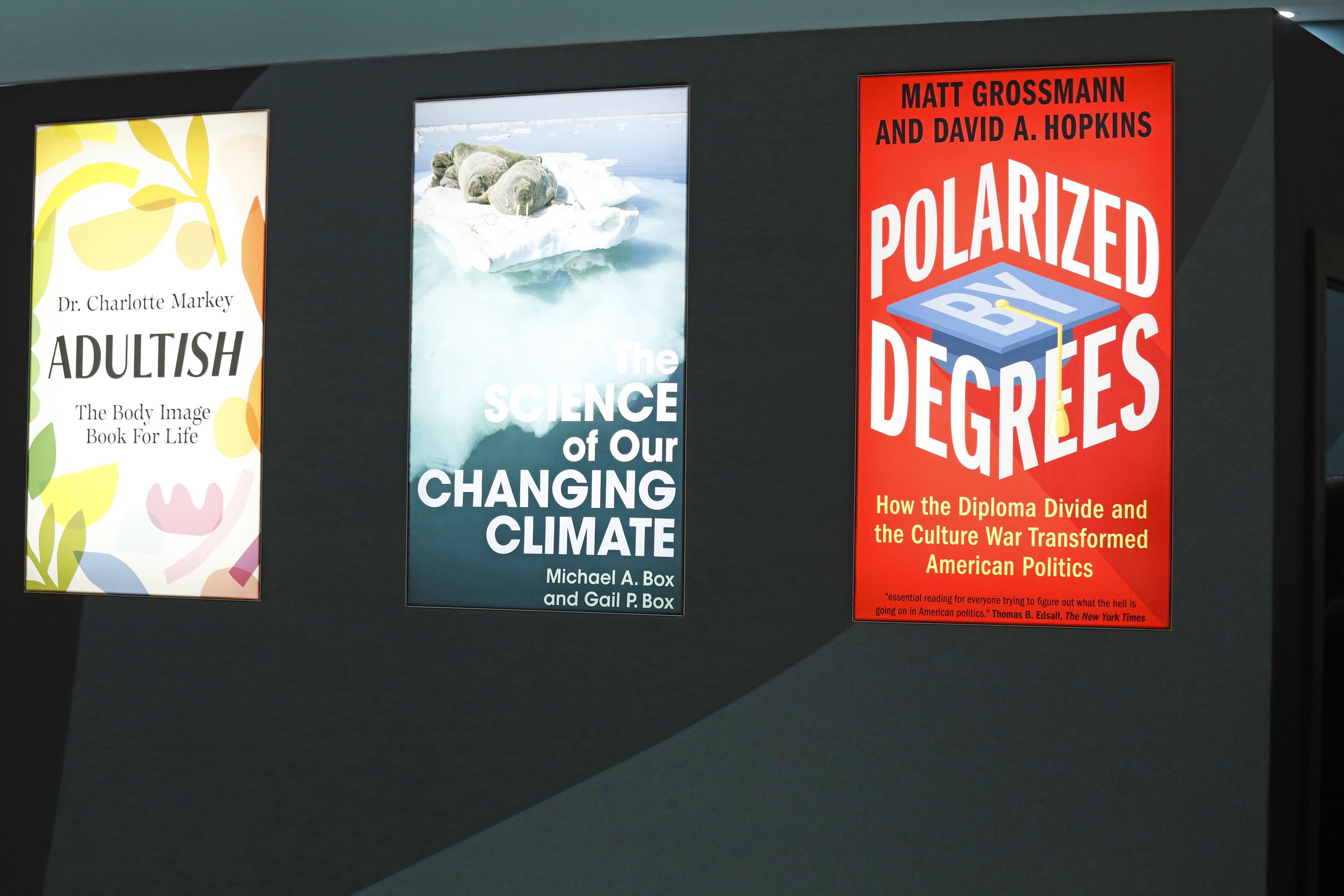 Cambridge University Press titles, Adultish, The Science of our changing climate, Polarized degrees (left to right) on display